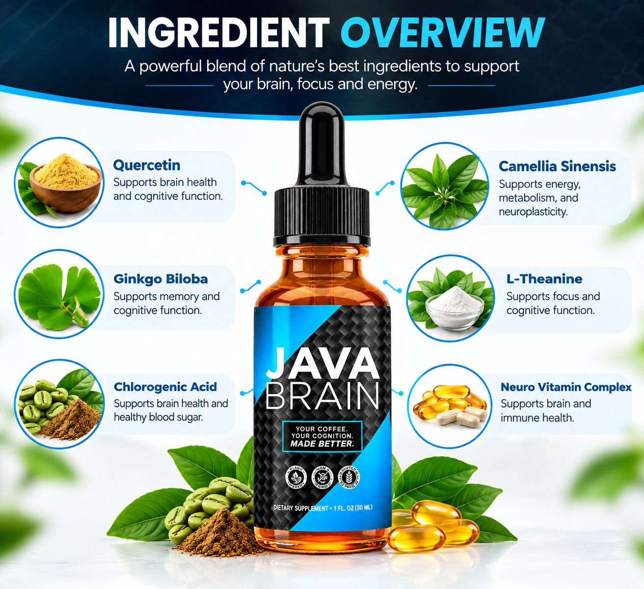 Java Brain Ingredients